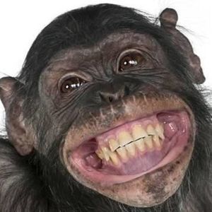 Meet your Posher, Randy